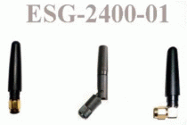 ESG-2400-01 (R/A, SMA-M)